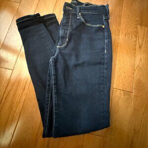 Banana Republic High Rise Skinny Jean, Dark Wash, Size 10 (28L)
